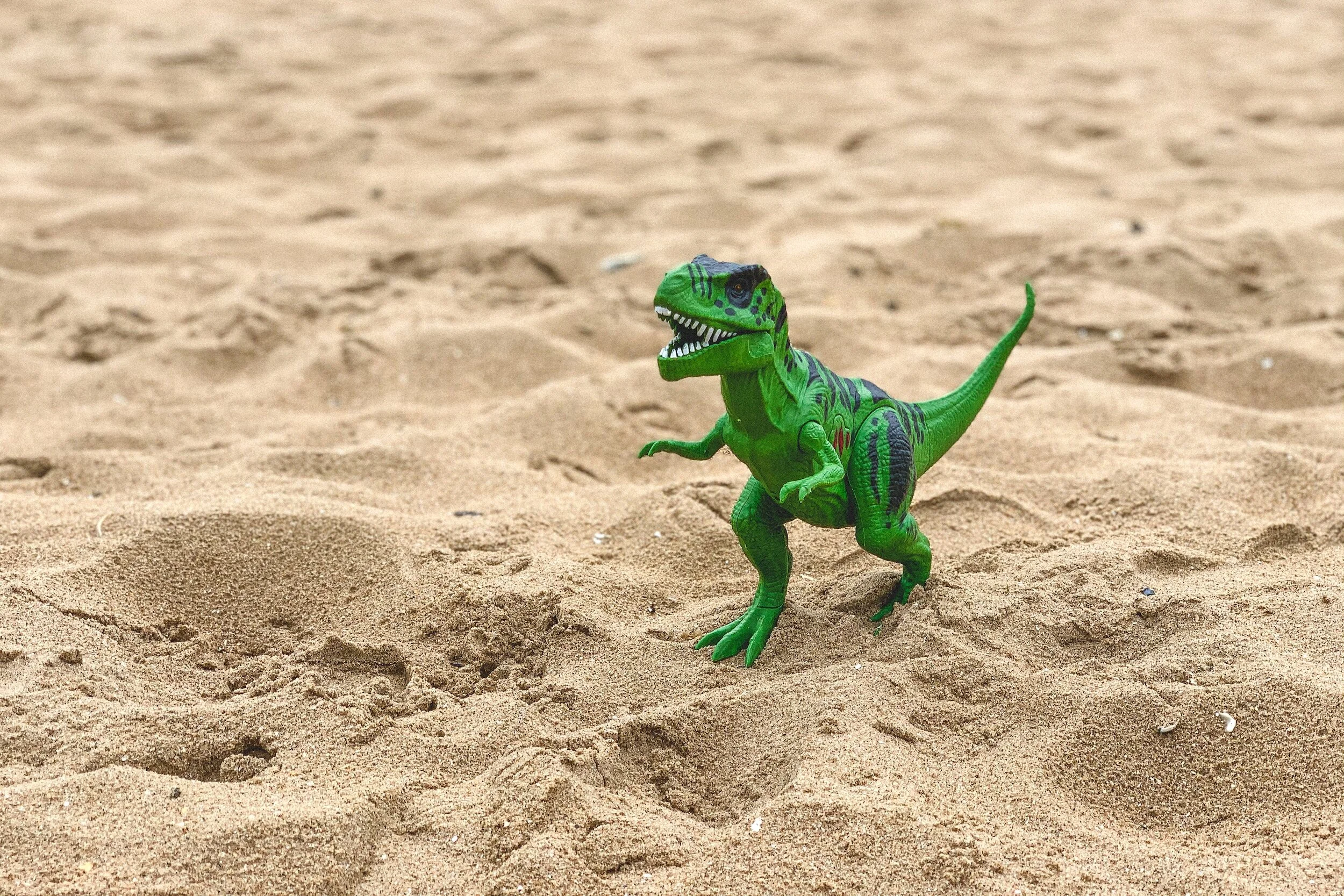 My Very Own Dinosaur
